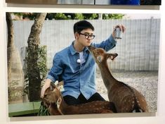 a man sitting next to two deer in front of a tree and holding a water bottle