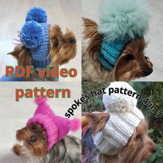 three pictures of small dogs wearing knitted hats with pompoms on their ears