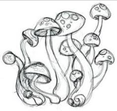 a drawing of some mushrooms on the ground