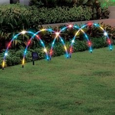 an array of multicolored lights in the grass next to a garden with trees and bushes