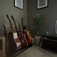 guitars are lined up against the wall in front of a mirror and guitar case next to a potted plant