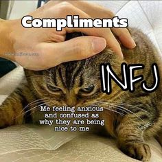 Infj Meme Funny, Infj Facts, Infj Characters, Infj Traits