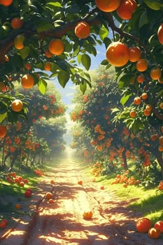 an orange tree filled with lots of oranges on top of a dirt road next to trees