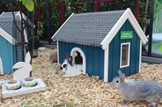 two rabbits are in their small blue and white houses