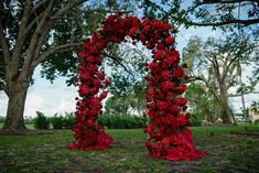 an arch made out of red flowers in the grass