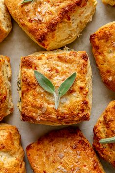 baked breads with sage sprigs and cheese on top are arranged in rows