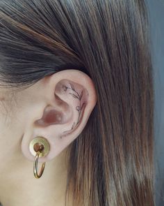 a close up of a person with ear piercings on their left and right ears