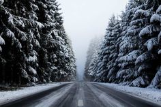 the road is surrounded by snow covered trees