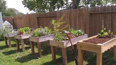 several wooden raised garden beds with plants in them