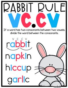 the rabbit is sitting in front of a poster that says rabbit rules vccv