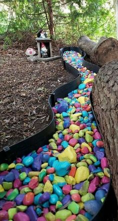 colorful rocks are laid out on the ground next to a fallen tree in an amusement park