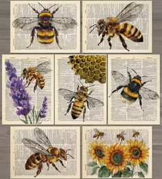 bees and sunflowers on an old book page