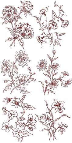 some flowers are drawn in red ink on white paper, and there is no image to describe