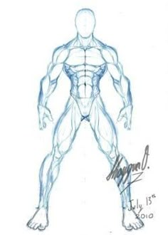 a drawing of a man's torso and upper body