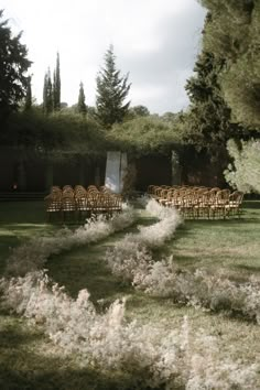 an outdoor ceremony setup with chairs and flowers in the foreground, surrounded by trees