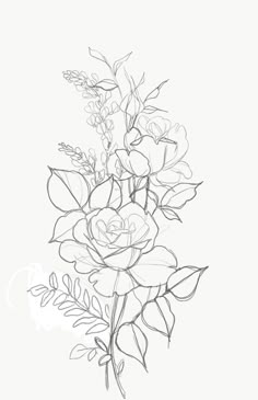 a drawing of some flowers on a white background