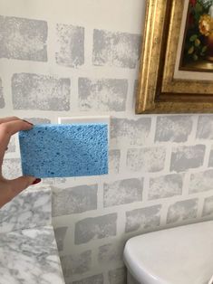 a person holding up a blue sponge in front of a white toilet