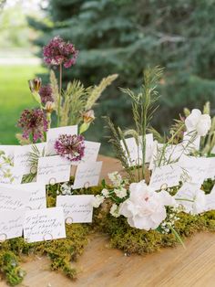 Organic Wedding Decor, Moss Table Runner, Garden Arrangement, Wedding Cake With Initials, Peony Farm, Moss Wedding, French Country Wedding, Romantic Rustic Wedding, Rustic Wedding Table