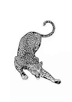 a black and white drawing of a cheetah on the ground with it's tail curled up