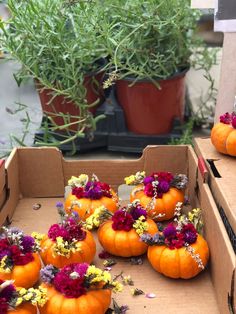 several pumpkins with flowers in them sitting on the ground