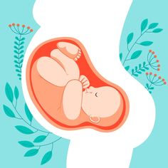 an illustration of a baby in the stomach with leaves around it's side and blue background