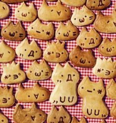 cookies with cats and letters on them are arranged in rows against a checkered tablecloth