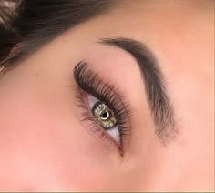 Natural Fox Eye Lash Extensions, Cat Eye Lash Extensions, Looks Kylie Jenner, Wet Set