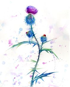 a watercolor painting of purple flowers on a white background