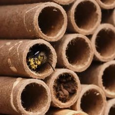 a bunch of rolled up brown paper tubes stacked on top of each other with a bee in the center