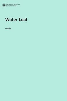 the cover of water leaf by grace