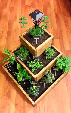 three wooden planters with plants growing in them