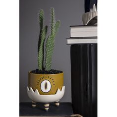 a cactus in a yellow and white planter with an eye on it's face