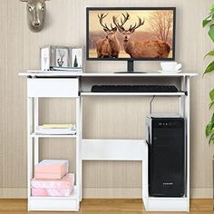 a computer desk with a monitor, keyboard and mouse on it next to a potted plant