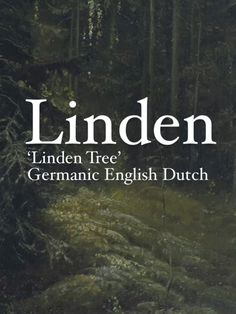 the cover of linden's german english dutch novel