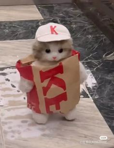 a cat dressed up like a chinese character holding a bag