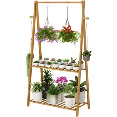 three tiered plant stand with potted plants on top and hanging from the side