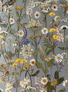 a blue and yellow floral wallpaper with birds on the top of it, surrounded by wildflowers