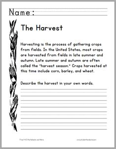 the harvest worksheet for children to learn how to read and write their own words