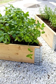 two wooden planters filled with plants on top of gravel