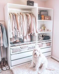 a white dog sitting in front of a closet full of clothes and other items on shelves