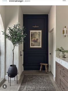 an entryway with a potted plant on the floor and a rug in front of it