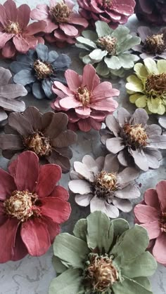 many different colored flowers on a table