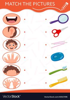 a poster with different types of hair and combs for kids to learn how to match the pictures