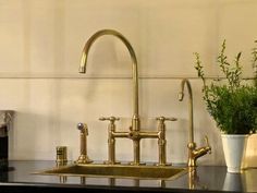 a kitchen sink with two faucets and a potted plant