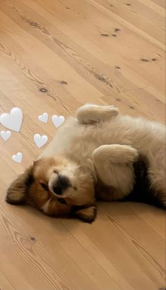 a dog is laying on the floor with hearts coming out of it's back