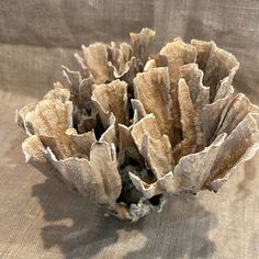 a piece of wood that is sitting on a cloth