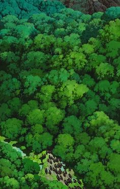 an aerial view of a forest with lots of green trees and mountains in the background