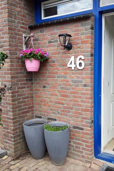 two large planters are on the side of a brick building with blue trim and number 46