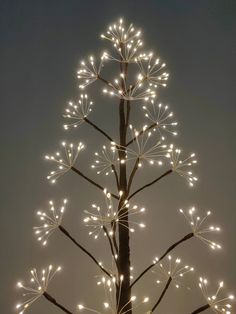 a lighted christmas tree with white lights on it's branches in the night sky