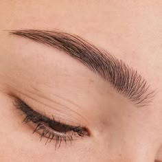 Amazing Brows Eyebrow Correction, Round Eyebrows, Eyebrows Goals, Curved Eyebrows, Straight Eyebrows, Straight Brows, Eyebrow Beauty, Membentuk Alis